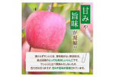 ＜黒石市産＞糖度13度以上保証!葉とらずサンふじ訳アリ家庭用約10kgりんご ※離島・沖縄は配送不可【1521374】