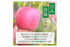 ＜黒石市産＞糖度13度以上保証!葉とらずサンふじ訳アリ家庭用約5kgりんご ※離島・沖縄は配送不可【1521376】