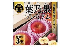 糖度15度以上!高級 贈答用葉とらずりんご(サンふじ)3玉 化粧箱付き【1520642】