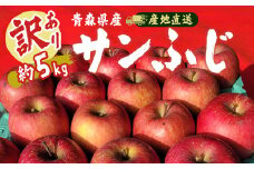 ＜訳あり＞青森県産りんご「サンふじ家庭用」約5kg　産地直送!【1517224】