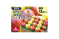 糖度13度以上!贈答用名月&シナノスイート約5kg【1563792】