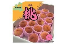 青森県産 桃 5kg(15～20玉)＜2025年8月中旬～発送開始＞【1548640】