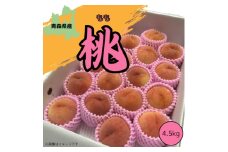 青森県産 桃 4.5kg(12～16玉)＜2025年8月中旬～発送開始＞【1548640】