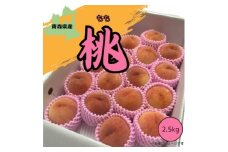 青森県産 本州最北端の桃 約2.5kg＜2025年8月中旬～発送開始＞【1548650】