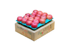 ＜黒石市産＞糖度13度以上 有袋ふじ りんごおもてなし用 約5kg【1587545】