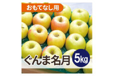 ＜26年4月より順次発送＞平均糖度13度以上! ぐんま名月 約5kg おもてなし用  クール便【1610322】