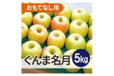 平均糖度13度以上! ぐんま名月 約5kg おもてなし用【1610378】