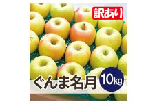 平均糖度13度以上! ぐんま名月 約10kg 訳あり【1610379】