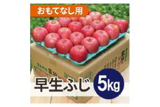 ＜25年10月より順次発送＞平均糖度12度以上! 早生ふじ 約5kg おもてなし用【1610399】
