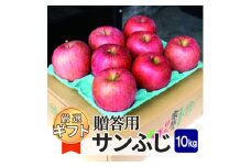 平均糖度13度以上! サンふじ 約10kg 贈答【1611196】