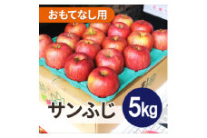＜26年1月より順次発送＞平均糖度13度以上! サンふじ 約5kg おもてなし用【1611212】