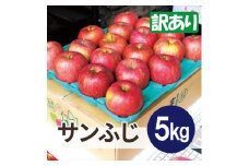＜26年6月より順次発送＞平均糖度13度以上! サンふじ 約5kg 訳あり  クール便【1611239】