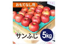 ＜26年6月より順次発送＞平均糖度13度以上! サンふじ 約5kg おもてなし用  クール便【1611241】