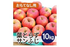 ＜25年12月より順次発送＞平均糖度13度以上! 葉とらずサンふじ 約10kg おもてなし用【1611284】