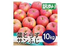 ＜25年12月より順次発送＞平均糖度13度以上! 葉とらずサンふじ 約10kg 訳あり【1611287】