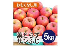 ＜25年12月より順次発送＞平均糖度13度以上! 葉とらずサンふじ 約5kg おもてなし用【1611285】