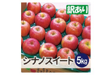 ＜26年1月より順次発送＞平均糖度13度以上! シナノスイート 約5kg 訳あり【1611321】