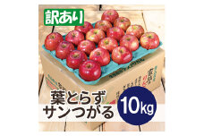 ＜25年9月より順次発送＞平均糖度12度以上! 葉とらずサンつがる 約10kg 訳あり  クール便【1611765】