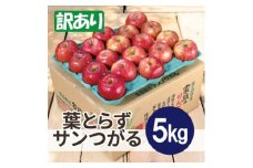 ＜25年9月より順次発送＞平均糖度12度以上! 葉とらずサンつがる 約5kg 訳あり  クール便【1611766】