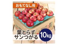 ＜25年9月より順次発送＞平均糖度12度以上!葉とらずサンつがる約10kg おもてなし用  クール便【1611767】
