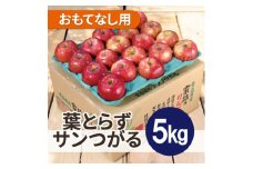 ＜25年9月より順次発送＞平均糖度12度以上! 葉とらずサンつがる約5kg おもてなし用  クール便【1611768】