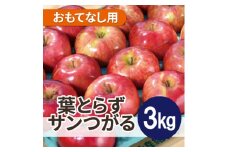 ＜25年9月より順次発送＞平均糖度12度以上! 葉とらずサンつがる約3kg おもてなし用  クール便【1611769】