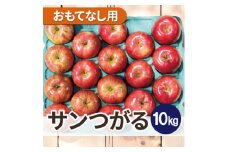 ＜25年9月より順次発送＞平均糖度12度以上! サンつがる 約10kg おもてなし用  クール便【1611771】