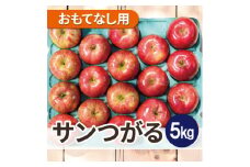 ＜25年9月より順次発送＞平均糖度12度以上! サンつがる 約5kg おもてなし用  クール便【1611772】