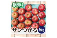 ＜25年9月より順次発送＞平均糖度12度以上! サンつがる 約5kg 訳あり  クール便【1611774】