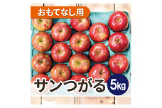 平均糖度12度以上! サンつがる 約5kg おもてなし用  クール便【1611776】