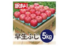＜25年11月より順次発送＞平均糖度13度以上! 早生ふじ 約5kg 訳あり【1611788】