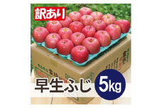 ＜25年11月より順次発送＞平均糖度13度以上! 早生ふじ 約5kg 訳あり【1611788】