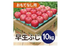 ＜25年11月より順次発送平均糖度13度以上! 早生ふじ 約10kg おもてなし用【1611791】
