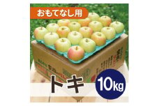 ＜26年2月より順次発送＞平均糖度13度以上! トキ 約10kg おもてなし用【1611796】