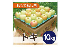 ＜26年1月より順次発送＞平均糖度13度以上! トキ 約10kg おもてなし用【1611800】