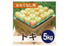 ＜26年1月より順次発送＞平均糖度13度以上! トキ 約5kg おもてなし用【1611801】