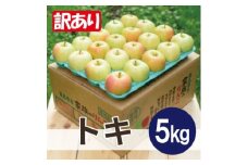 ＜26年1月より順次発送＞平均糖度13度以上! トキ 約5kg 訳あり【1611803】