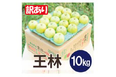 ＜26年6月より順次発送＞平均糖度13度以上! 王林 約10kg 訳あり  クール便【1611818】