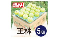 ＜26年2月より順次発送＞平均糖度13度以上! 王林 約5kg 訳あり【1611837】