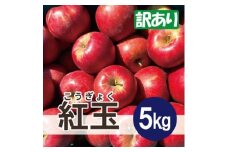 ＜26年1月より順次発送＞ 紅玉 約5kg 訳あり【1611854】