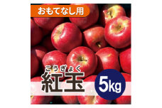 ＜26年1月より順次発送＞ 紅玉 約5kg おもてなし用【1611856】