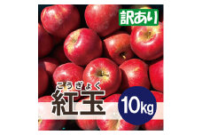 ＜26年2月より順次発送＞ 紅玉 約10kg 訳あり【1611860】