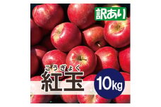 ＜26年3月より順次発送＞ 紅玉 約10kg 訳あり【1611864】