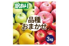 ＜25年9月より順次発送＞品種おまかせ 約3kg 訳あり  クール便【1611884】