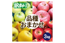 ＜26年2月出荷予定＞りんご 品種おまかせ 約3kg 訳あり【1613248】