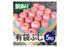 ＜26年6月出荷予定＞平均糖度13度以上! 有袋ふじ 約5kg 訳あり CA貯蔵 クール便【1613255】