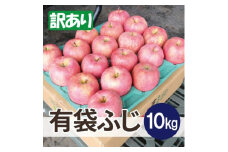 ＜26年5月出荷予定＞平均糖度13度以上! 有袋ふじ 約10kg 訳あり CA貯蔵 クール便【1613258】