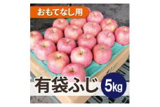 ＜26年3月出荷予定＞平均糖度13度以上! 有袋ふじ 約5kg おもてなし用【1613266】