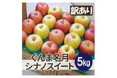糖度13度以上保証! ぐんま名月×シナノスイート 約5kg 訳あり【1613317】