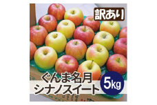 ＜26年2月より順次発送＞糖度13度以上保証! ぐんま名月×シナノスイート 約5kg 訳あり【1613324】
